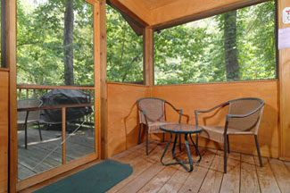 Seating area inside the screened in porch that has a view of the wooded scenery that surounds the cabin.